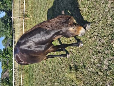 Customer Success Gallery - 